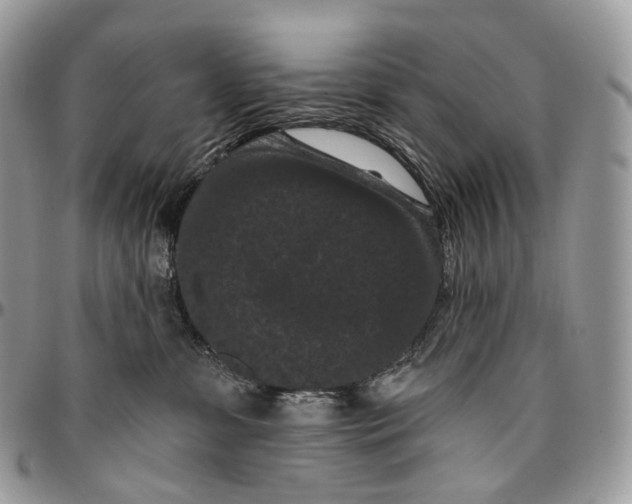 X0000096410331200802141546