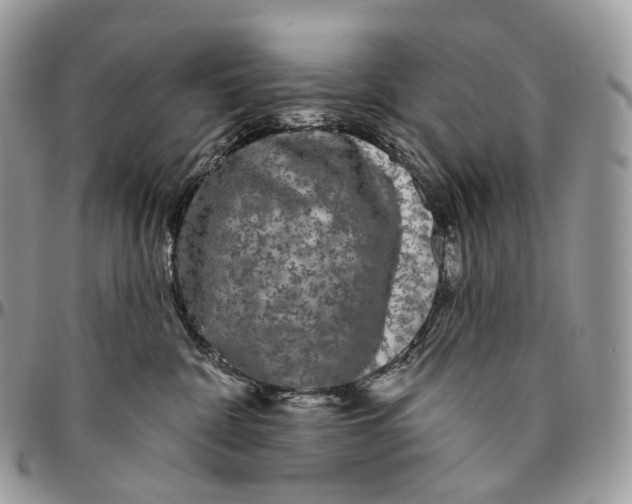 X0000096410332200802141546