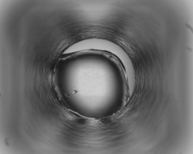 X0000096410333200802141546