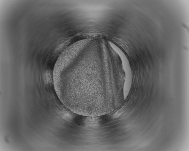 X0000096410335200802141546