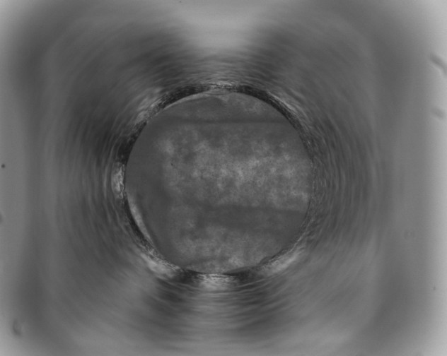 X0000096410336200802141546