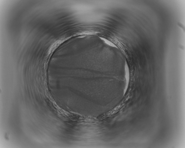 X0000096410337200802141545