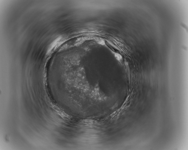 X0000096410339200802141545