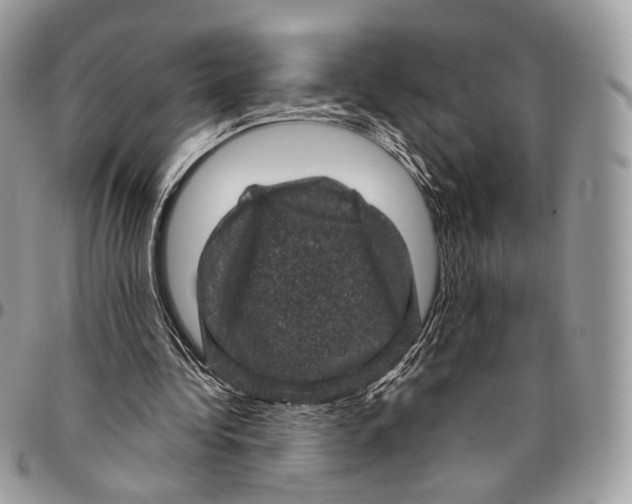 X0000096410340200802141545