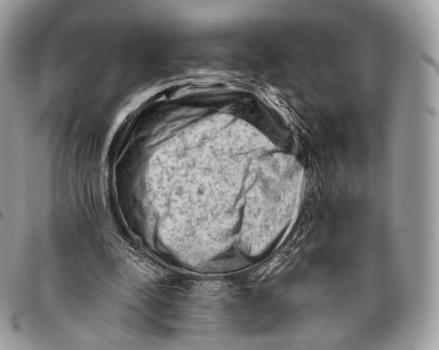 X0000096410342200802141545