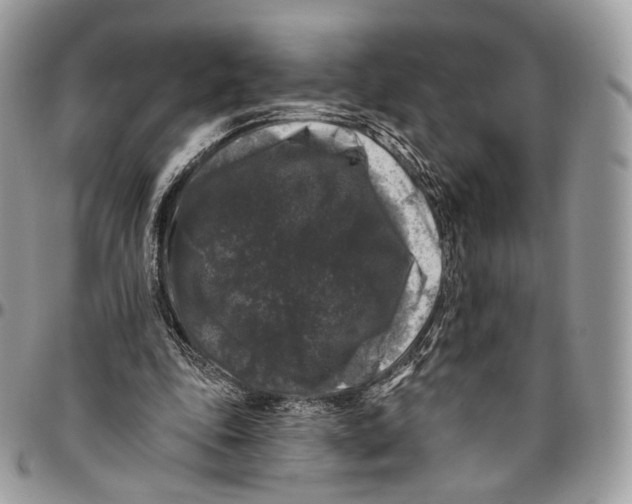 X0000096410343200802141545