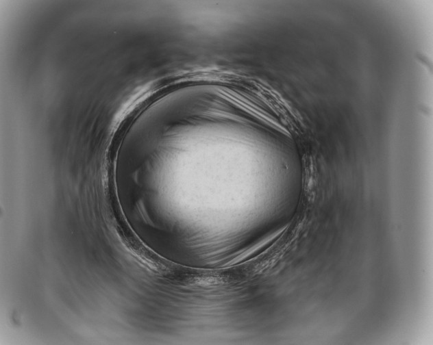 X0000096410344200802141545