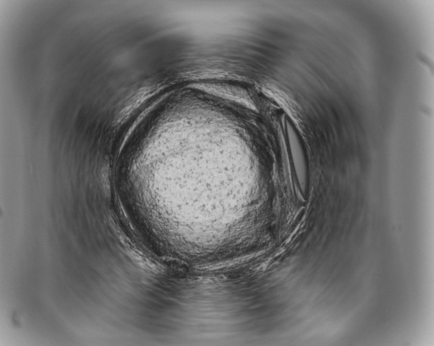 X0000096410345200802141545