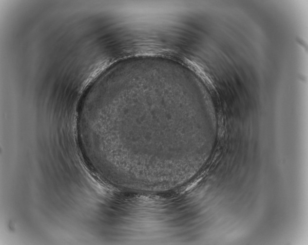 X0000096410346200802141545