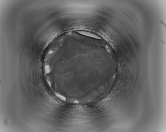 X0000096410347200802141545