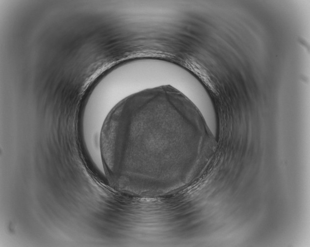 X0000096410348200802141545