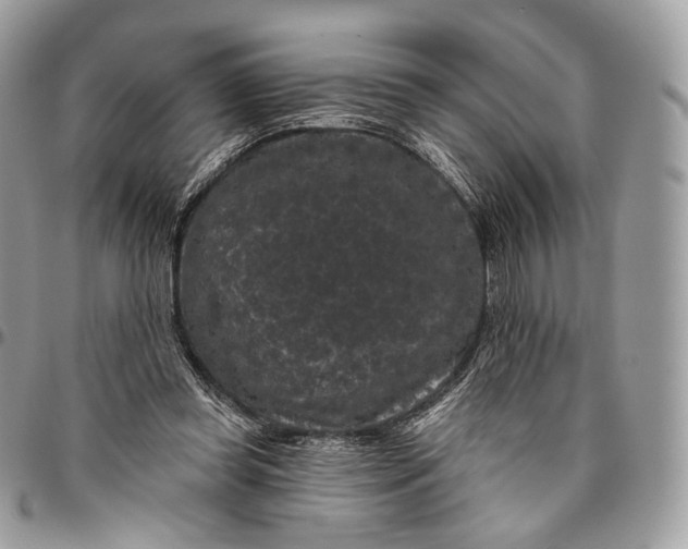 X0000096410349200802141546