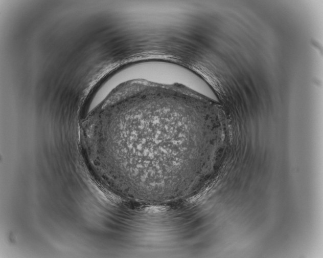 X0000096410350200802141546