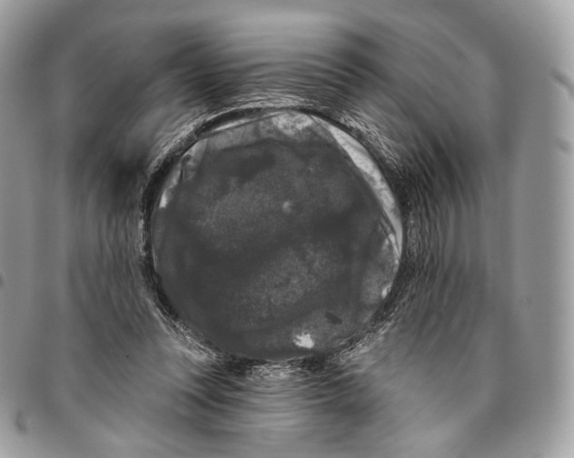 X0000096410351200802141546