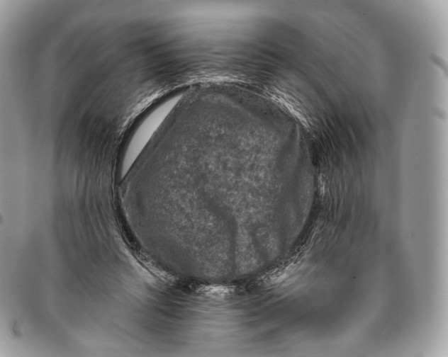 X0000096410352200802141546