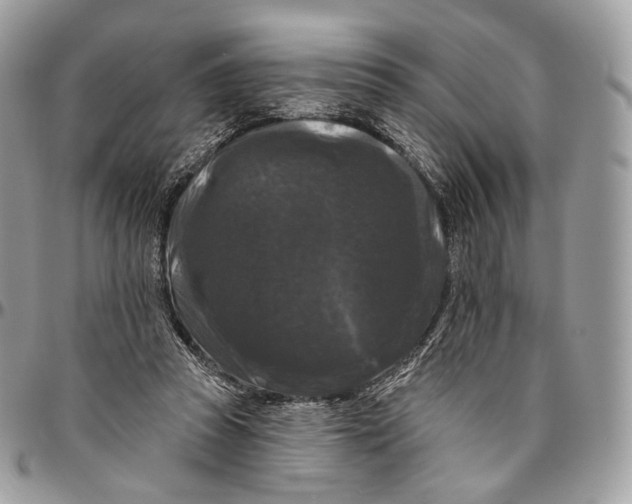 X0000096410353200802141546