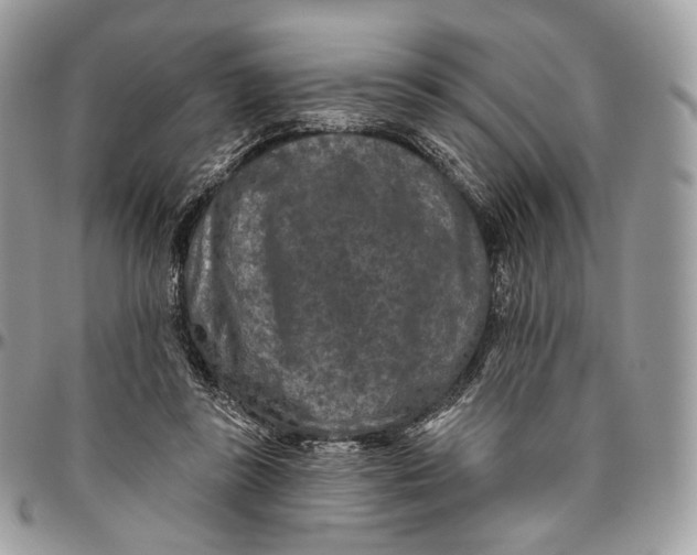 X0000096410355200802141546