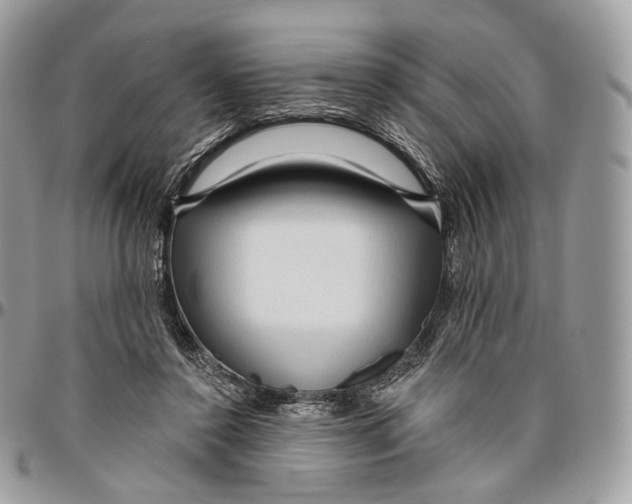 X0000096410356200802141546