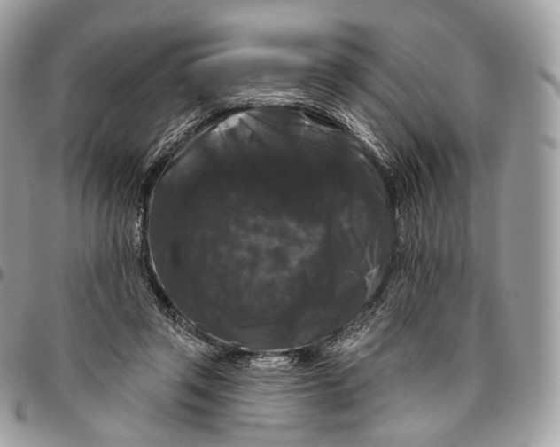 X0000096410357200802141546