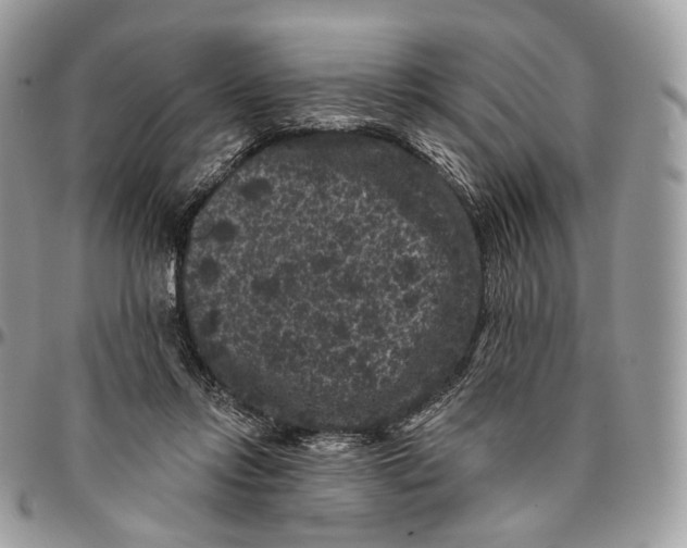 X0000096410358200802141546