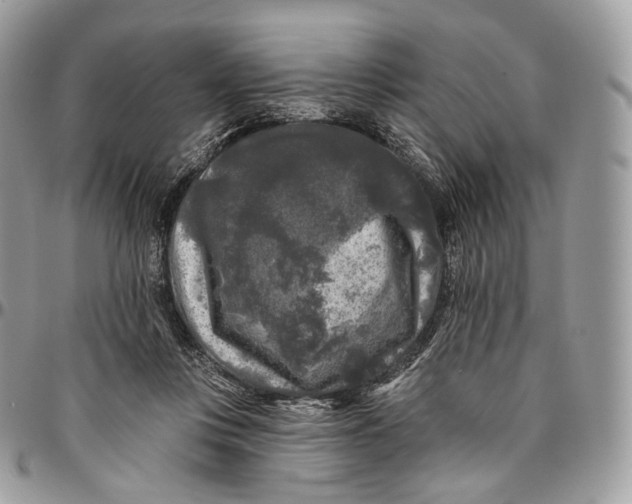 X0000096410359200802141546