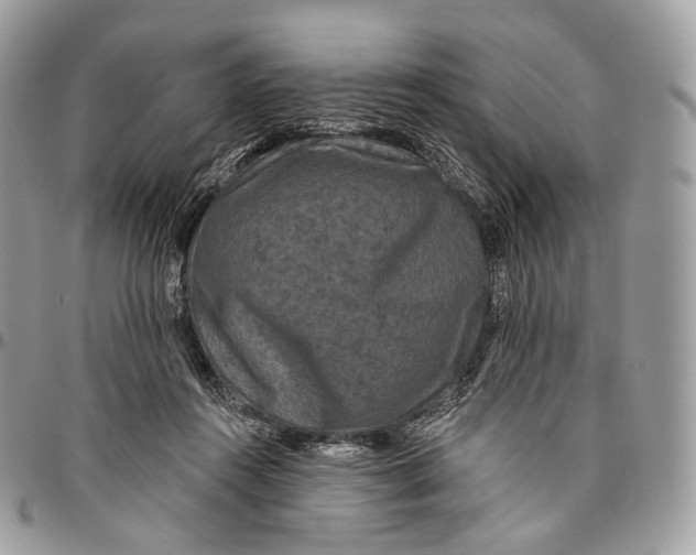 X0000096410360200802141546