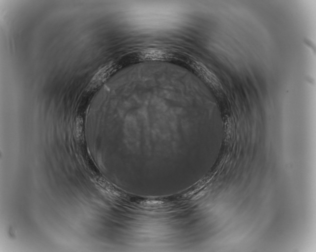 X0000096410361200802141546