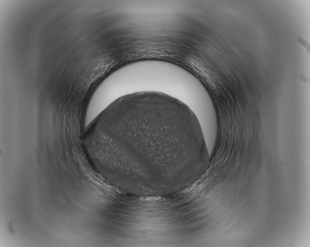 X0000096410362200802141546