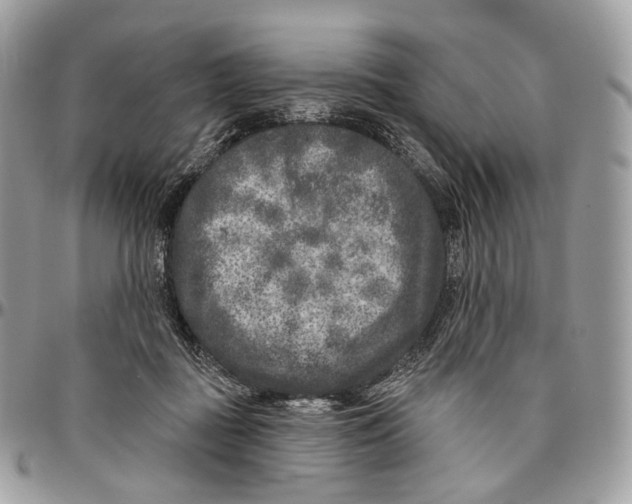 X0000096410363200802141546