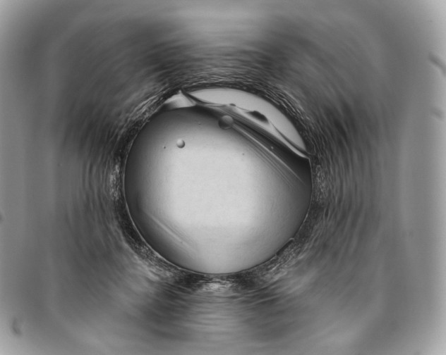 X0000096410364200802141546