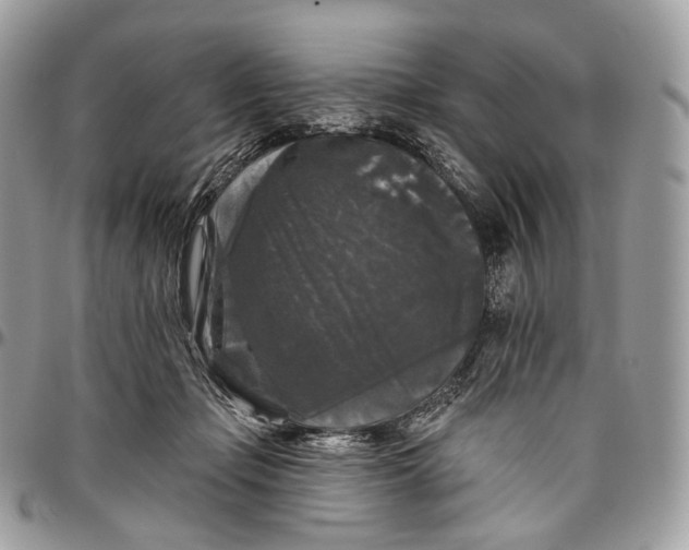 X0000096410365200802141546