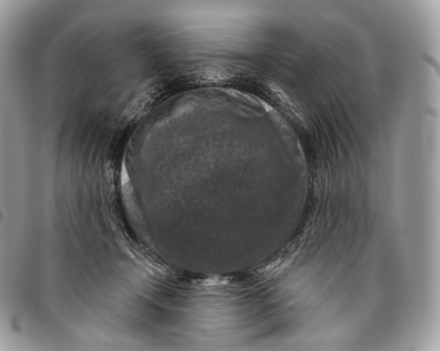 X0000096410366200802141546