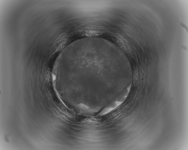 X0000096410367200802141546