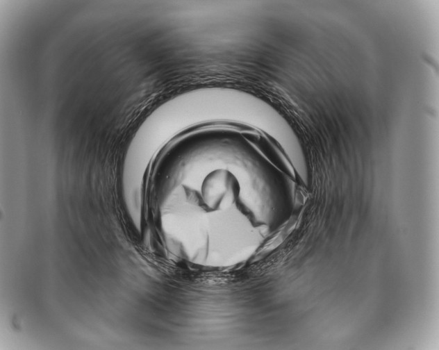 X0000096410368200802141546