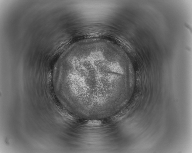 X0000096410369200802141546