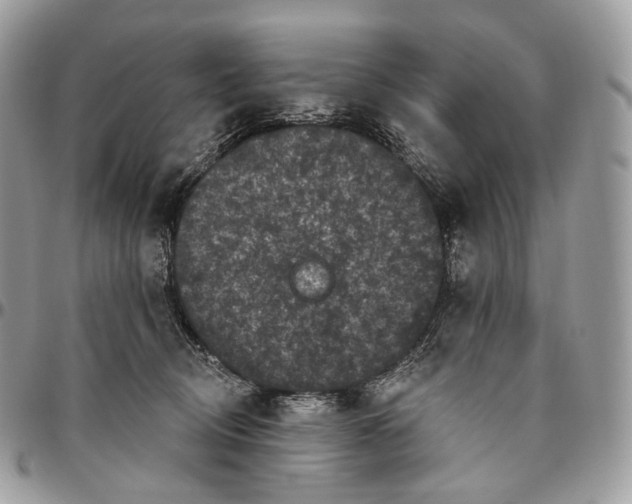 X0000096410370200802141546