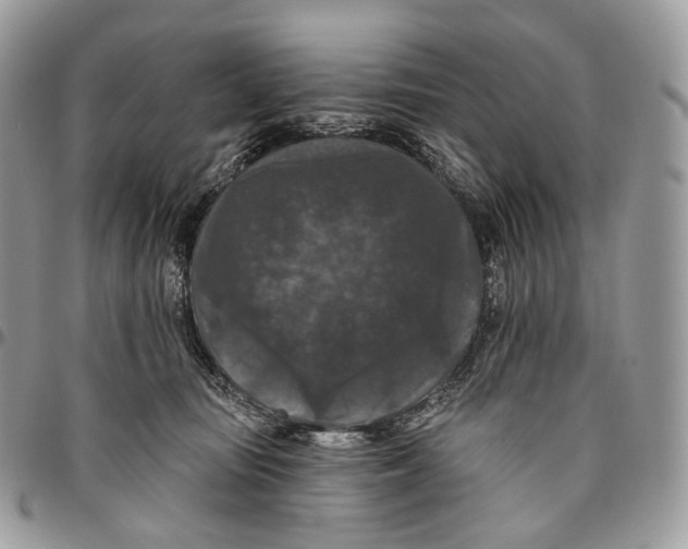 X0000096410371200802141546