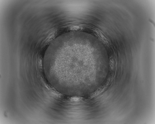 X0000096410375200802141546