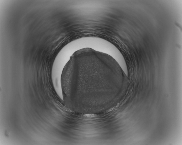 X0000096410376200802141546