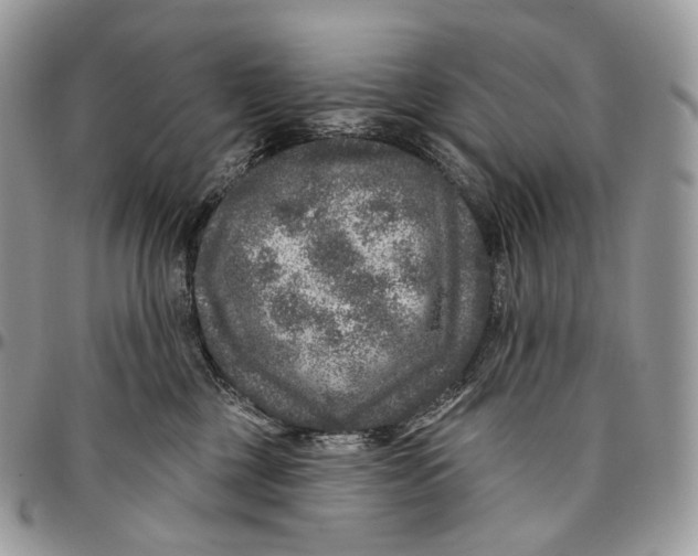 X0000096410377200802141546