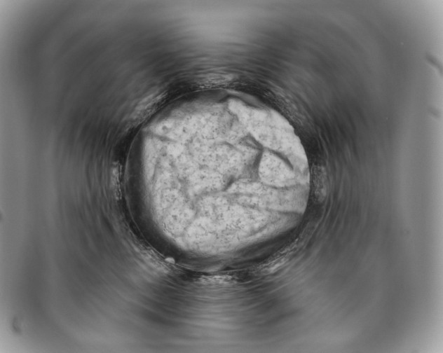 X0000096410378200802141546