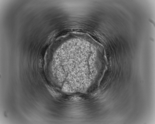 X0000096410379200802141546