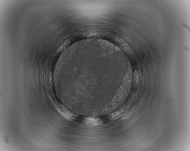 X0000096410380200802141546