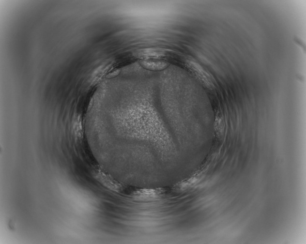 X0000096410381200802141546