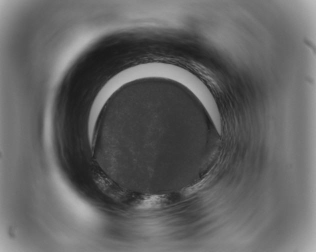 X0000096410382200802141546