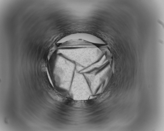 X0000096410384200802141546