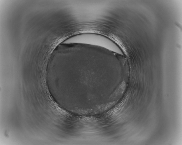 X0000096410385200802141545