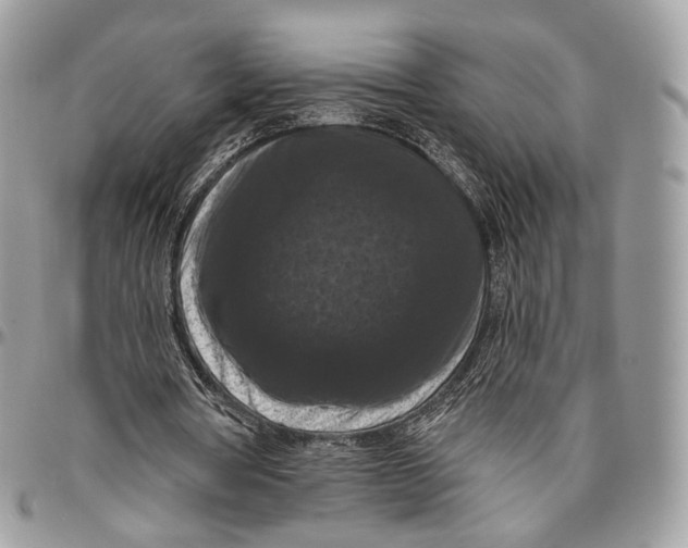 X0000096410386200802141545