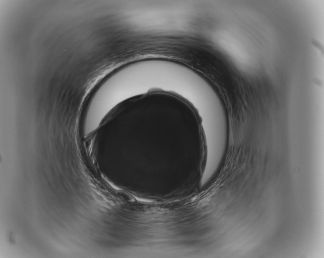 X0000096410387200802141545