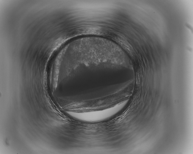 X0000096410388200802141545